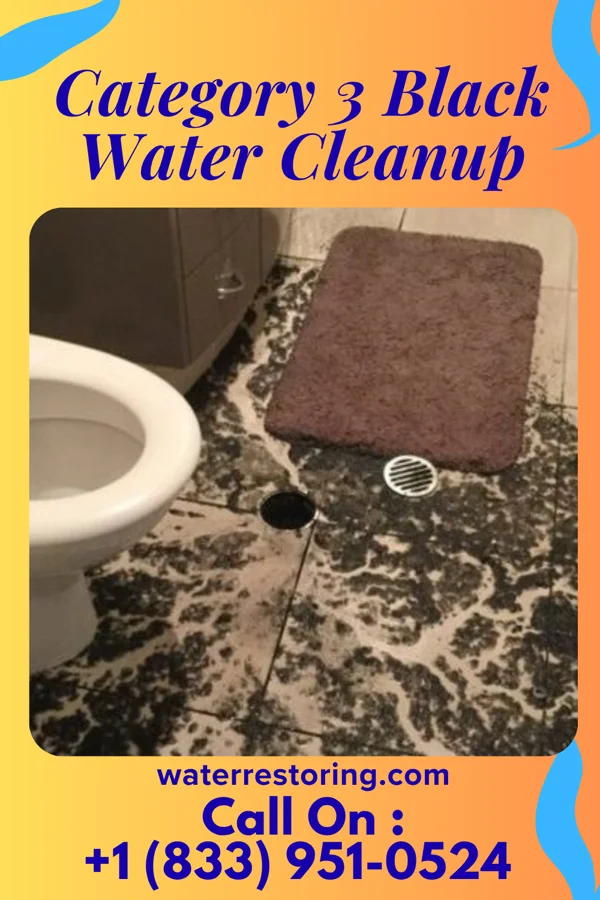 Category 3 Black Water Cleanup in Hondo, TX